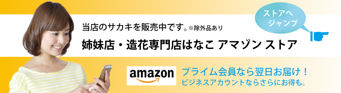 アマゾンへリンク